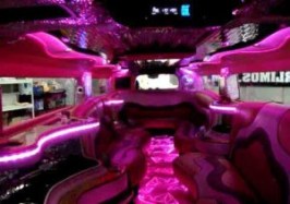 pink limo 
